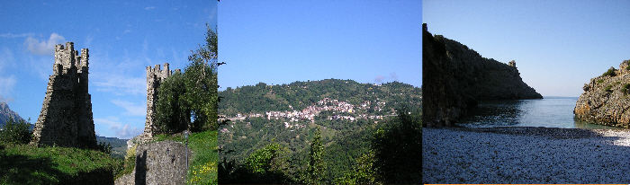 wp57d2d08b_02.jpg
